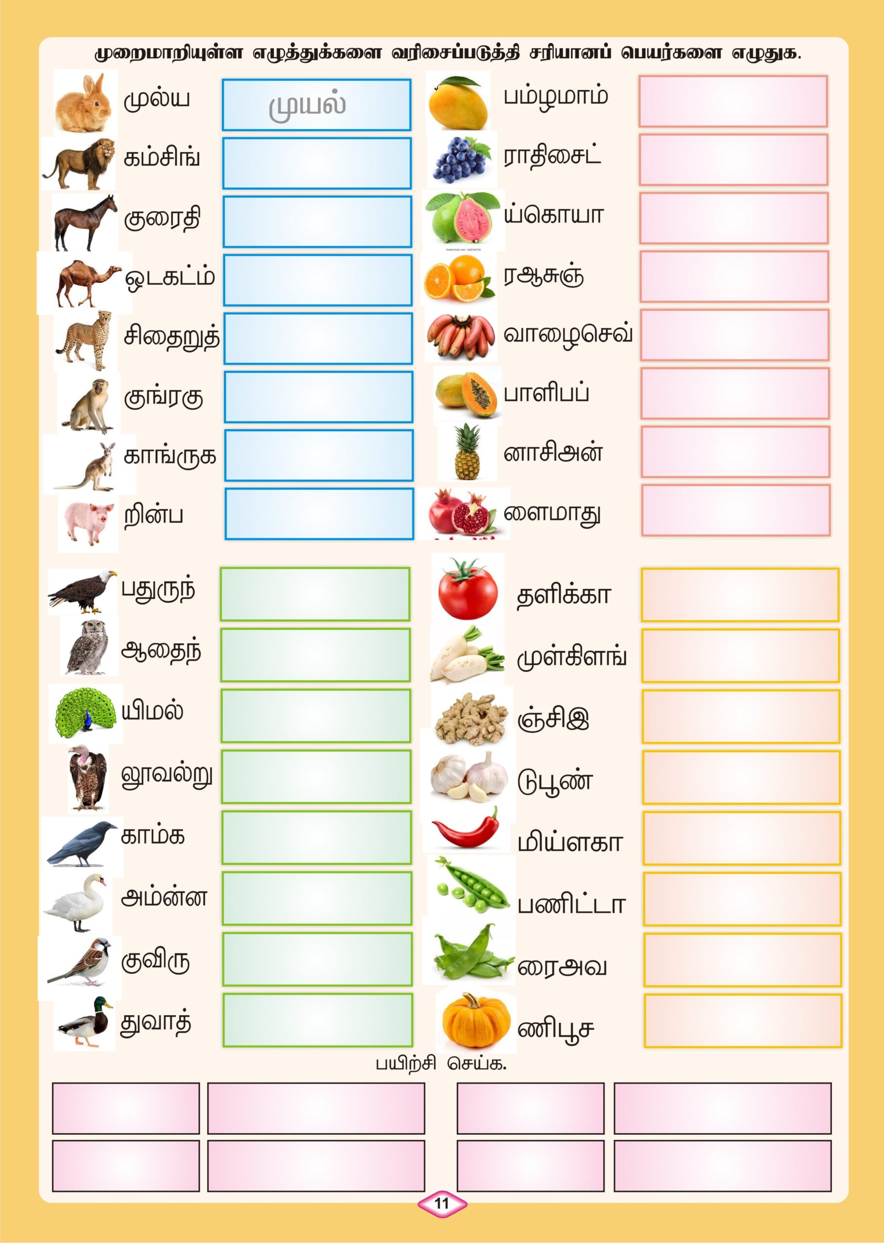 Tamil 3 Levels Combo - Image 17