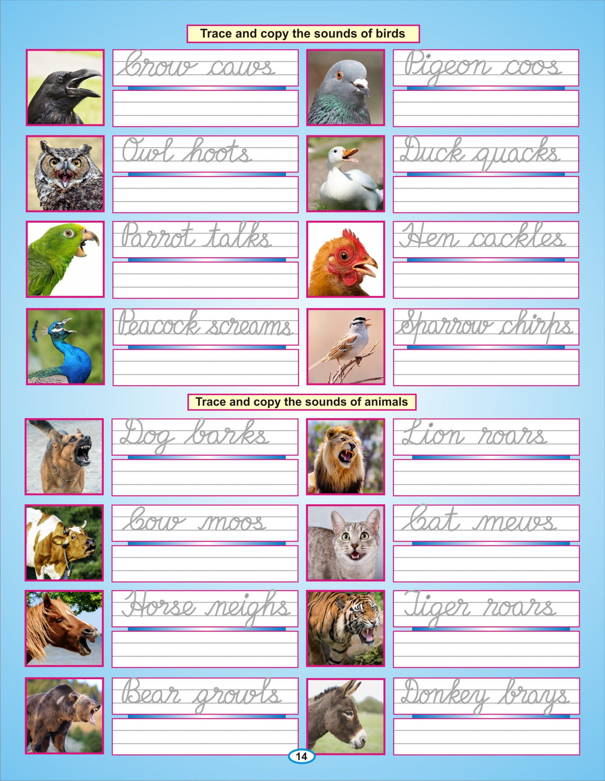 Reusable Cursive Writing 3 Books combo - Image 13