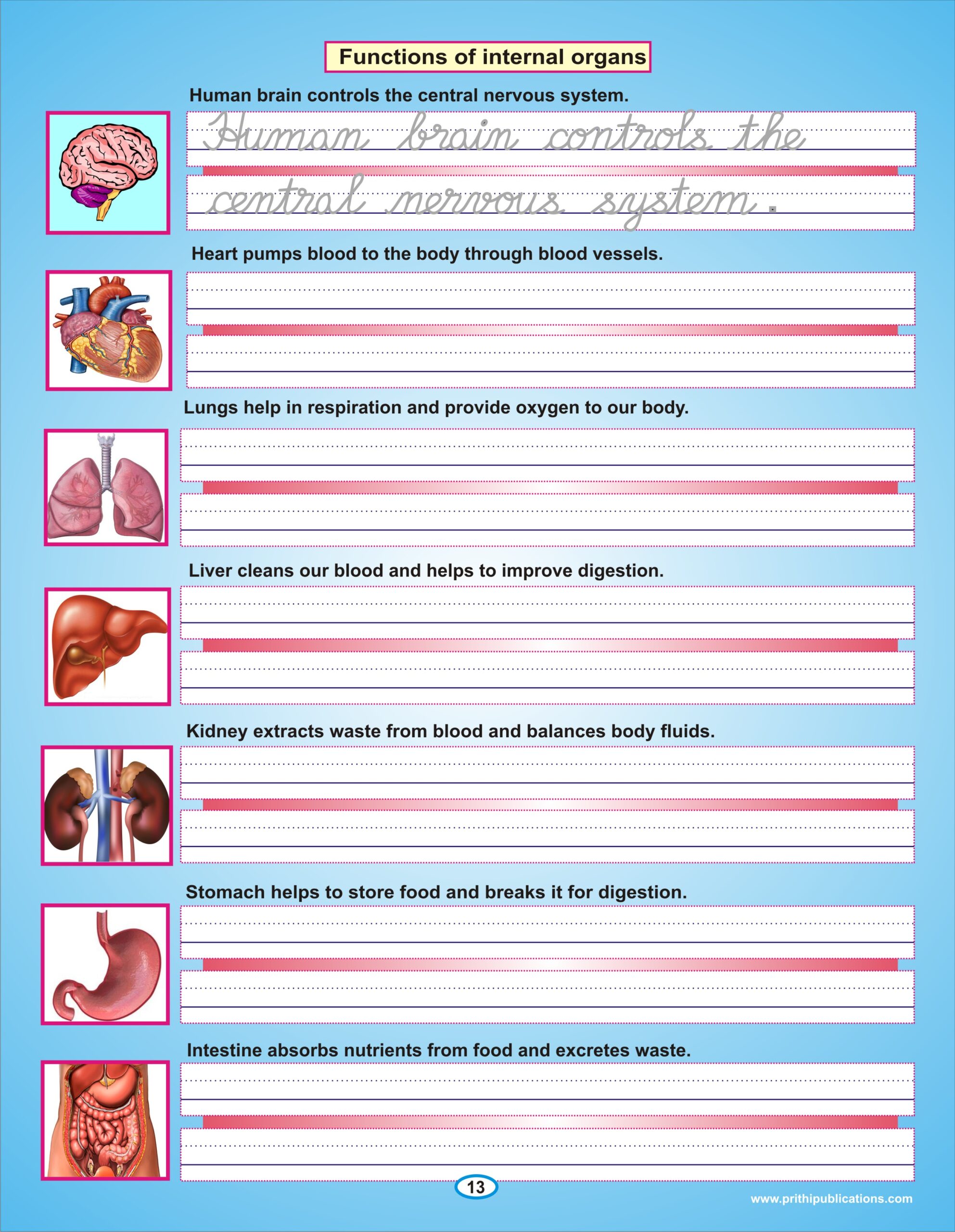 Reusable Cursive Writing 3 Books combo - Image 17